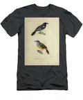 Variable and Plain Winged Antshrike 1835 U1 Historic Illustrations T-Shirt
