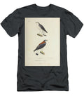 Variable Hawk 1835 U1 Historic Illustrations T-Shirt