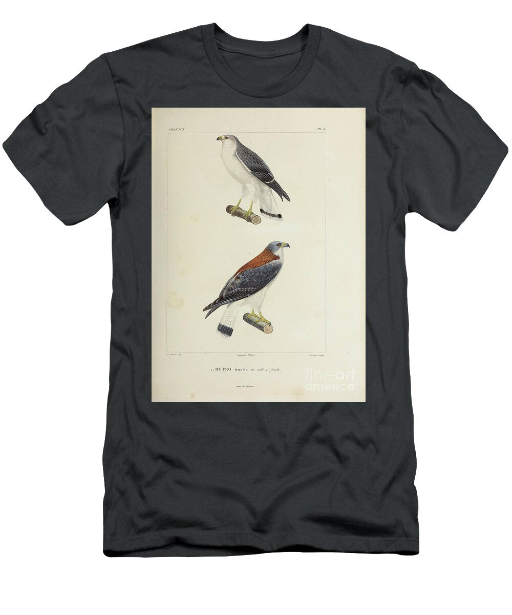 Variable Hawk 1835 U1 Historic Illustrations T-Shirt