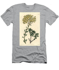 Variete De Joubarb Villous Houseleek Sempervivum Villosum Sydenham Teast Edwards T-Shirt