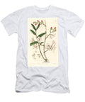 Variete Dorchidee Dendrobium Inward Bent Dendrobium Orchid or Hooked Dendrobe Dendrobium Adunum European School T-Shirt