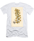 Variete Dorchidee Eripsis Two Lobed Eriops Eriopsis Biloba European School T-Shirt