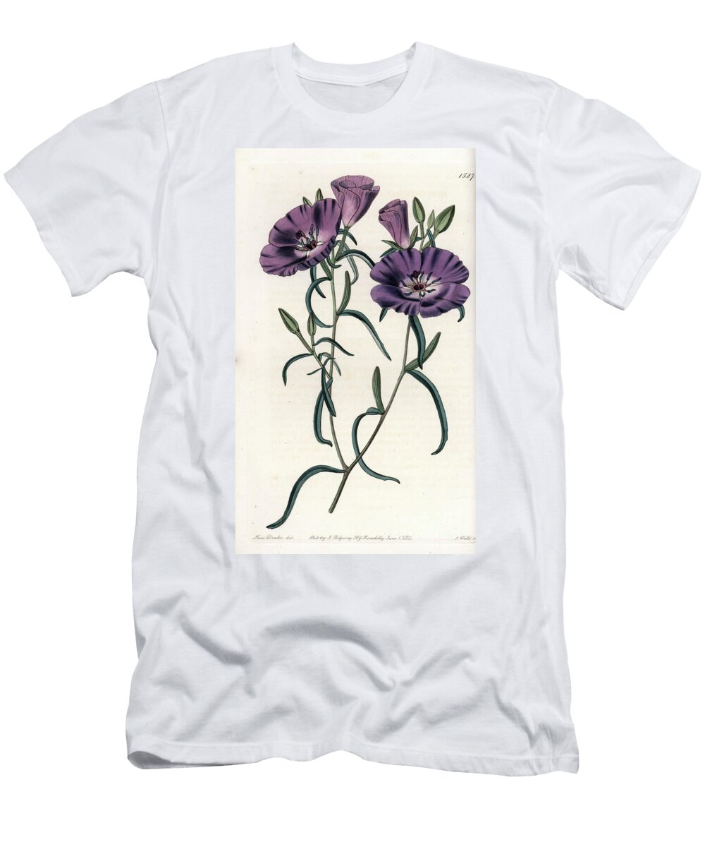 Variete of Clarkia Native of South America Engraved By S Sydenham Teast Edwards T-Shirt