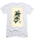 Variete of Deutzie Broad Stemmed Deutzia Deutzia Staminea European School T-Shirt