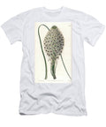 Variete of Liliacee Helonias Asphodeloides Sydenham Teast Edwards T-Shirt
