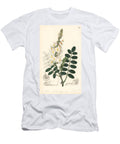 Variete of Sainfoin Ray Fruited Saintfoin Onobrychis Radiata European School T-Shirt
