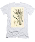 Variete of Stylidium Carnivorous Plant Silky Triggerplant Hairy Stylewort Stylidium Pilosum European School T-Shirt