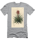 Variete of Tillandsia or Air Girl or Old Fashioned Beard Tillandsia Geminiflora Airplant Madder Coloured Tillandsia Tillandsia Rubida European School T-Shirt
