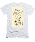 Variete of Villarsia Endemic to Australia Ornduffia Reniformis Kidney Leaved Villarsia Villarsia Reniformis Sydenham Teast Edwards T-Shirt