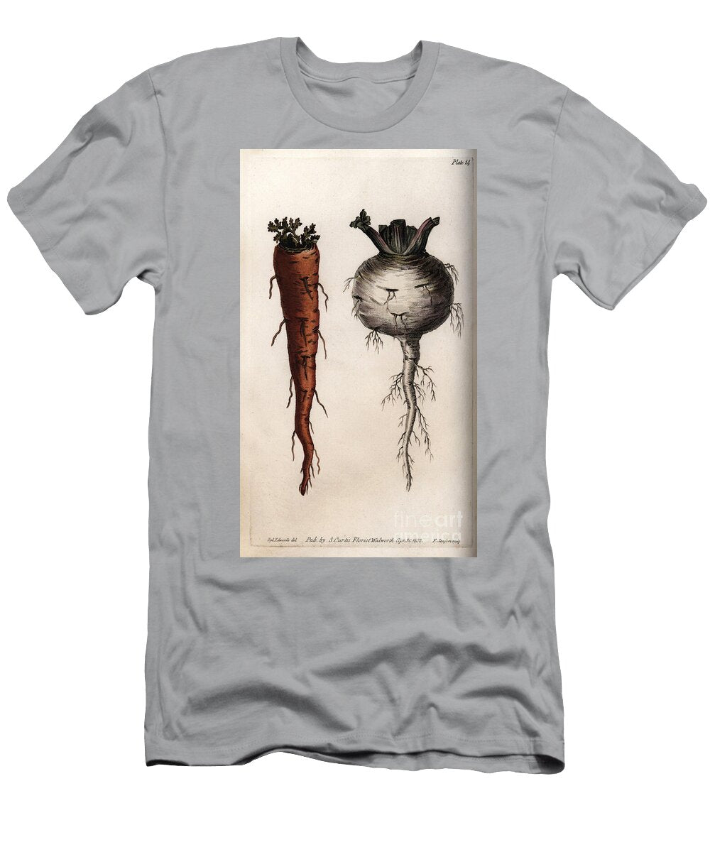 Vegetable Roots Carrot and Turnip Sydenham Teast Edwards T-Shirt