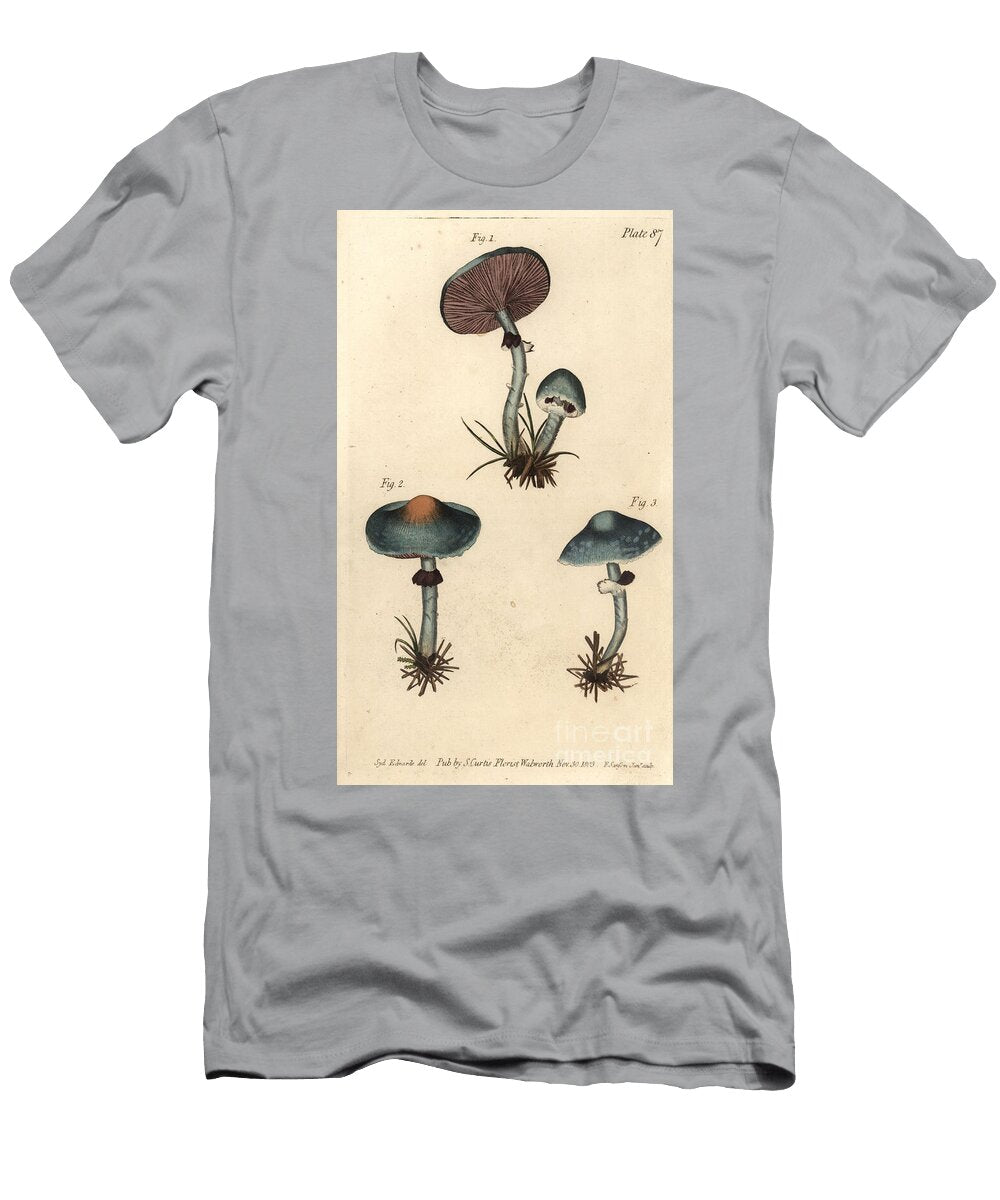 Verdigris Mushroom or Verdigris Agaric Stropharia Aeruginosa Fungi Cryptogamia Sydenham Teast Edwards T-Shirt