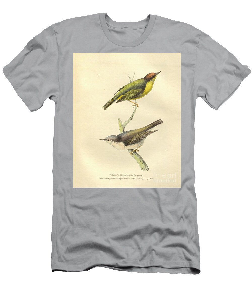 Vermivora Warblers Colourised Plate O1 Historic Illustrations T-Shirt