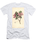 Vesalea Floribunda Florid Abelia Abelia Floribunda European School T-Shirt