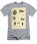 Voluta Mitra and Cancellaria B1 Historic Illustrations T-Shirt