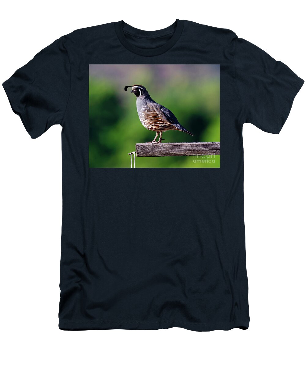 Walking the Plank Mike Dawson T-Shirt
