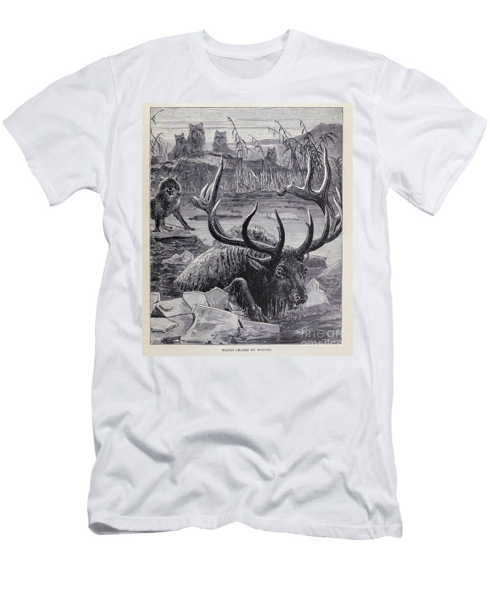 Wapiti Chased By Wolves M2 Historic Illustrations T-Shirt
