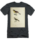 Warblers of South America 1835 U1 Historic Illustrations T-Shirt