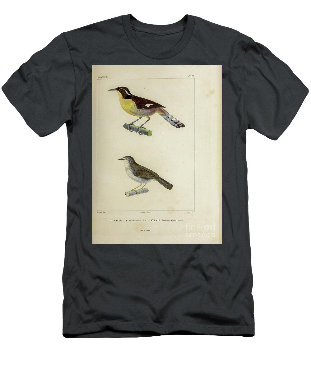Warblers of South America 1835 U1 Historic Illustrations T-Shirt
