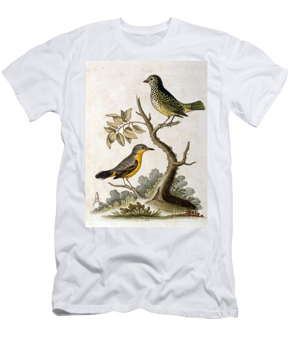 Watercolour Illustration of a Three Toed Sloth By G Edwards 1758 George Edwards T-Shirt