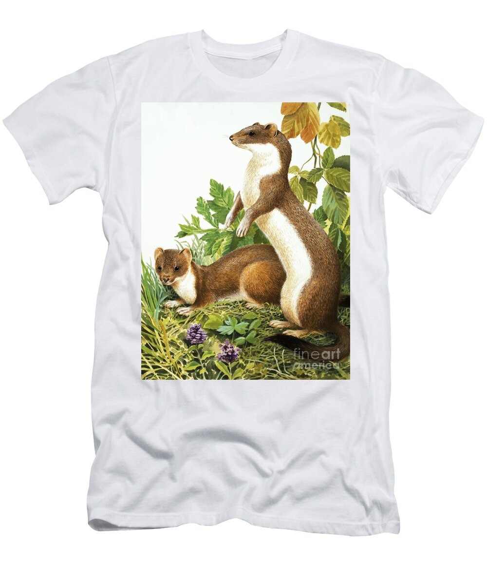 Weasels Rb Davis T-Shirt