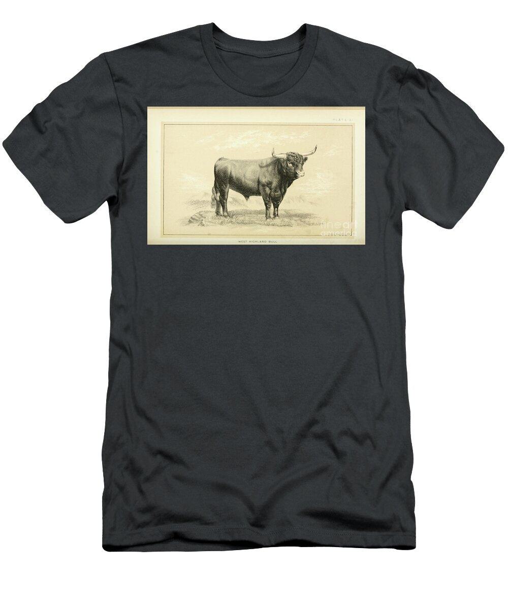 West Highland Bull Q1 Historic Illustrations T-Shirt