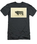 West Highland Bull Q2 Historic Illustrations T-Shirt