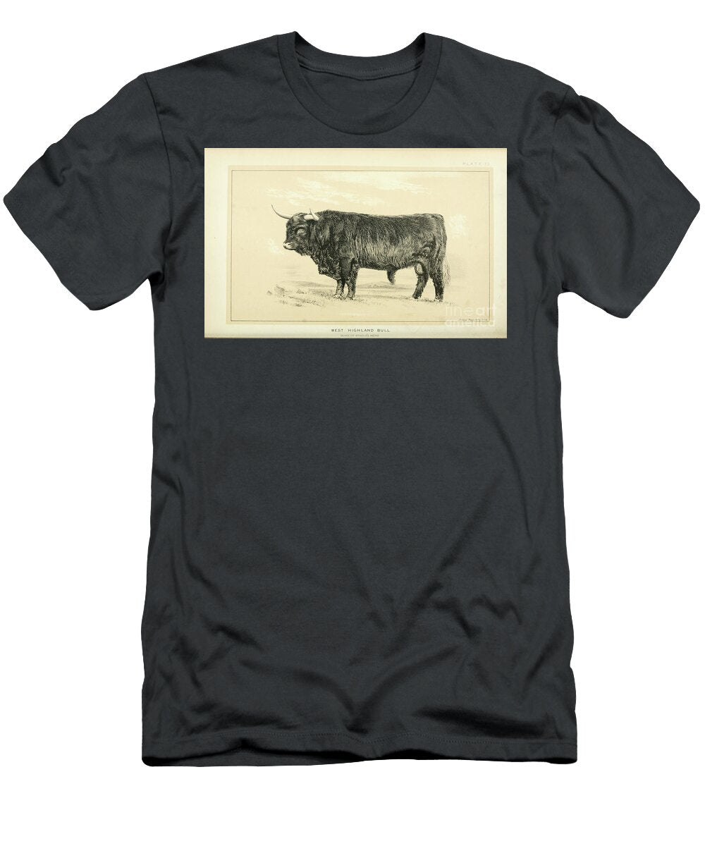 West Highland Bull Q2 Historic Illustrations T-Shirt