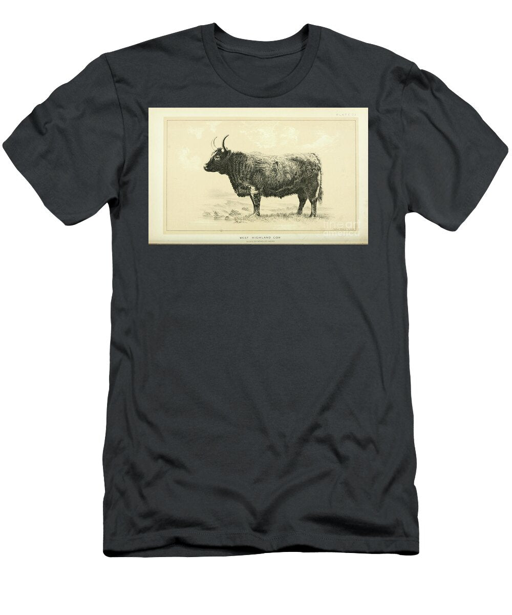 West Highland Cow Q1 Historic Illustrations T-Shirt