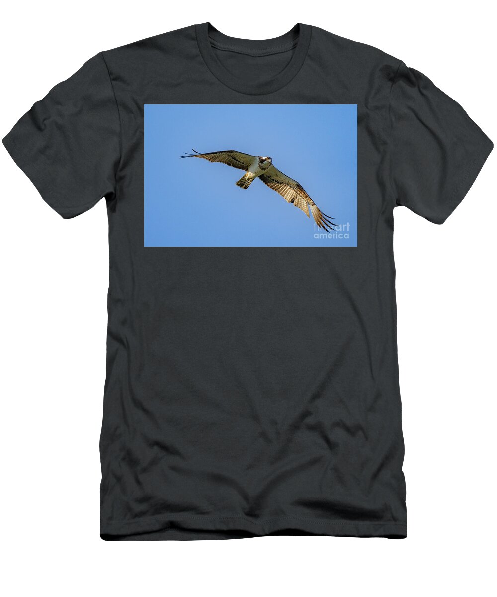 Western Osprey Z2 Eyal Bartov T-Shirt
