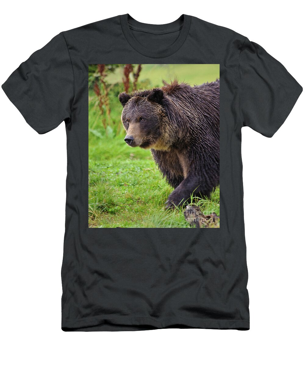 Wet Grizzly Bear Profile Timothy Flanigan T-Shirt