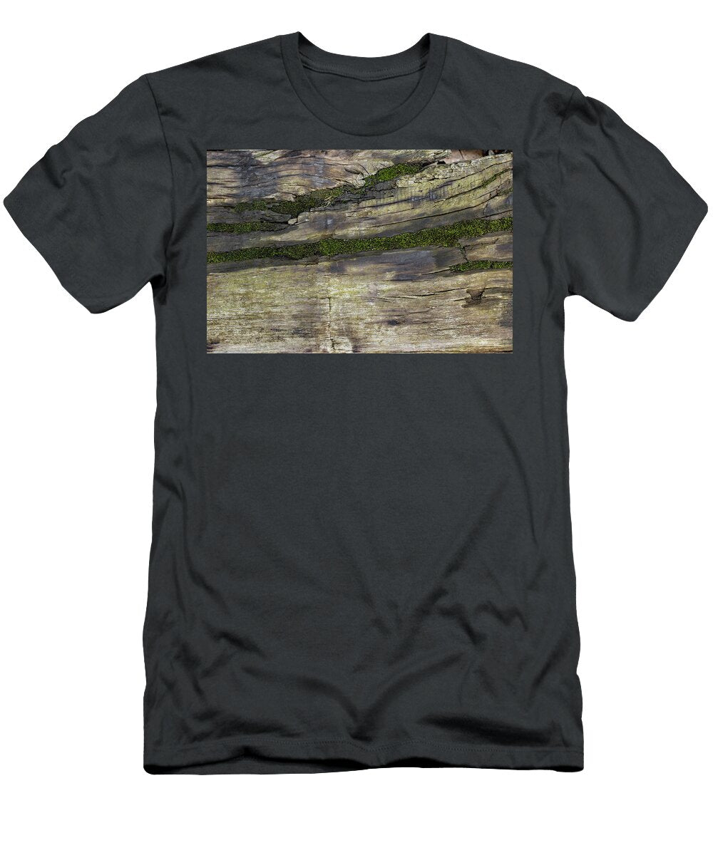 Wet Hardwood Board with Cracks Filled with Green Moss Close Up Dorin Puha T-Shirt