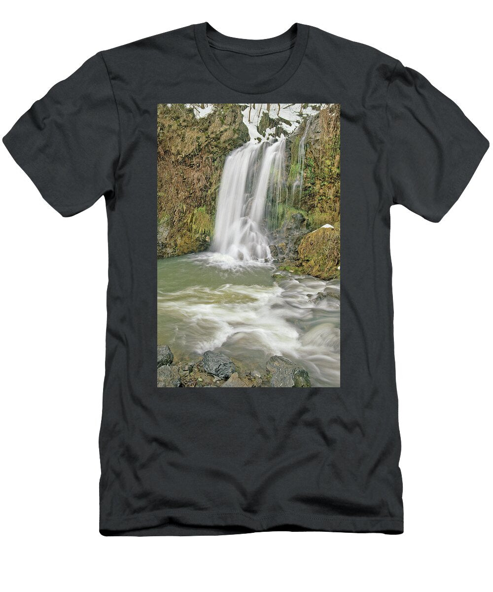 What Shall It Profit a Man If He Gains the Whole World and Suffer the Loss of His Soul Glenn Falls Bijan Pirnia T-Shirt