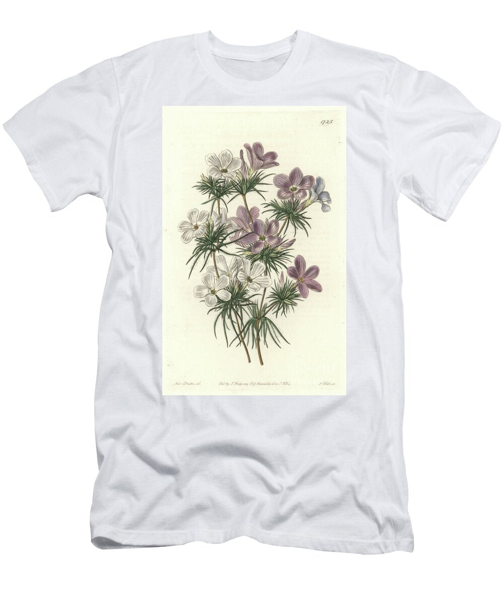 White and Purple Leptosiphon Sydenham Teast Edwards T-Shirt