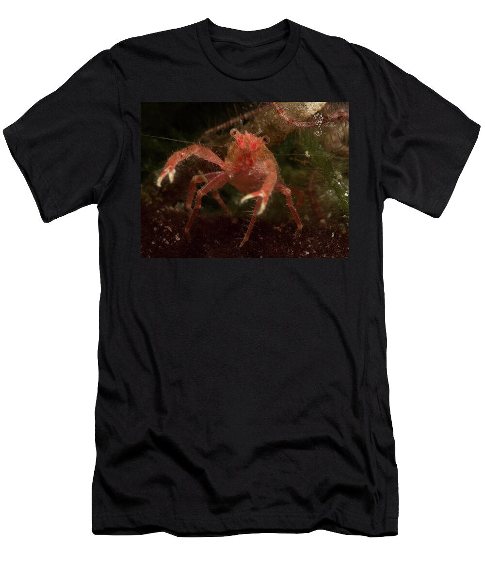 White Claws Scubamanu Cabanillas T-Shirt