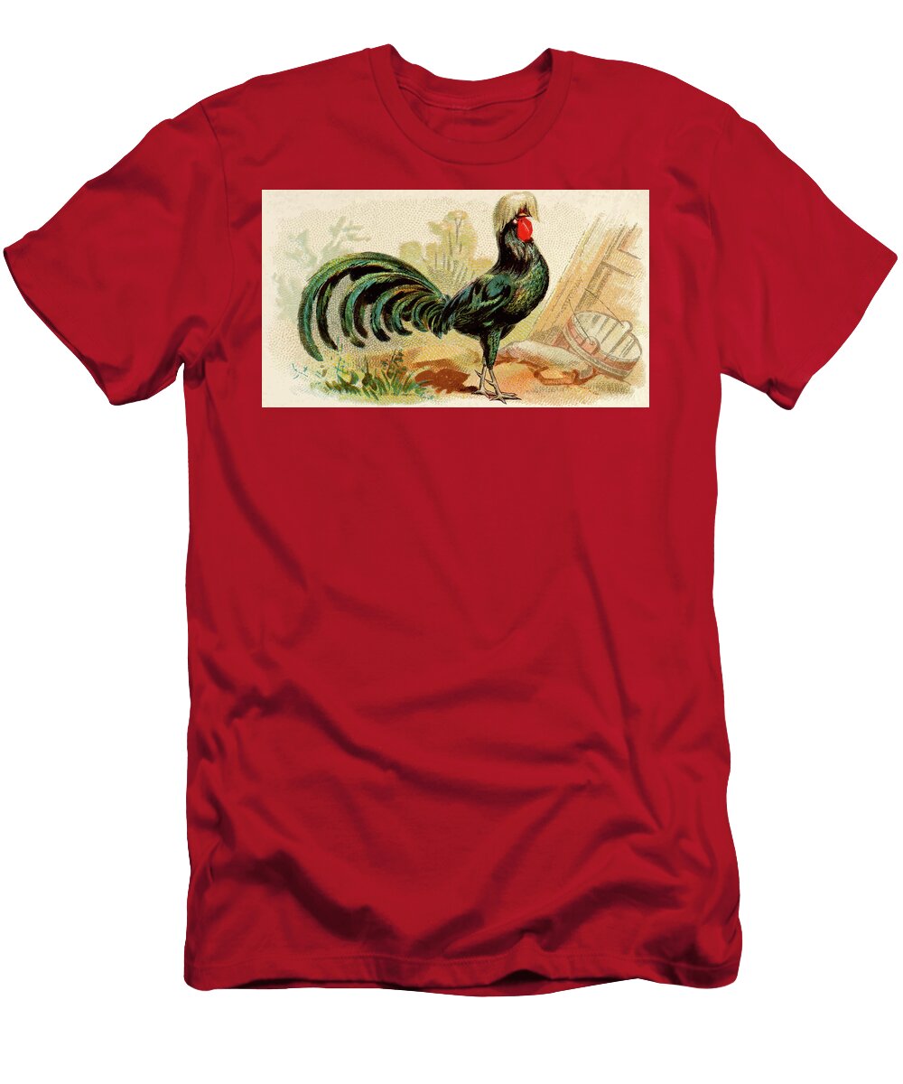White Crested Black Polish Chicken Vintage Animal Illustration Picked and Shared T-Shirt