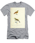 White Flanked Antwren 1835 U1 Historic Illustrations T-Shirt