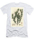 White Flowered Mucronee or Pernettya Gaultherie S Sydenham Teast Edwards T-Shirt
