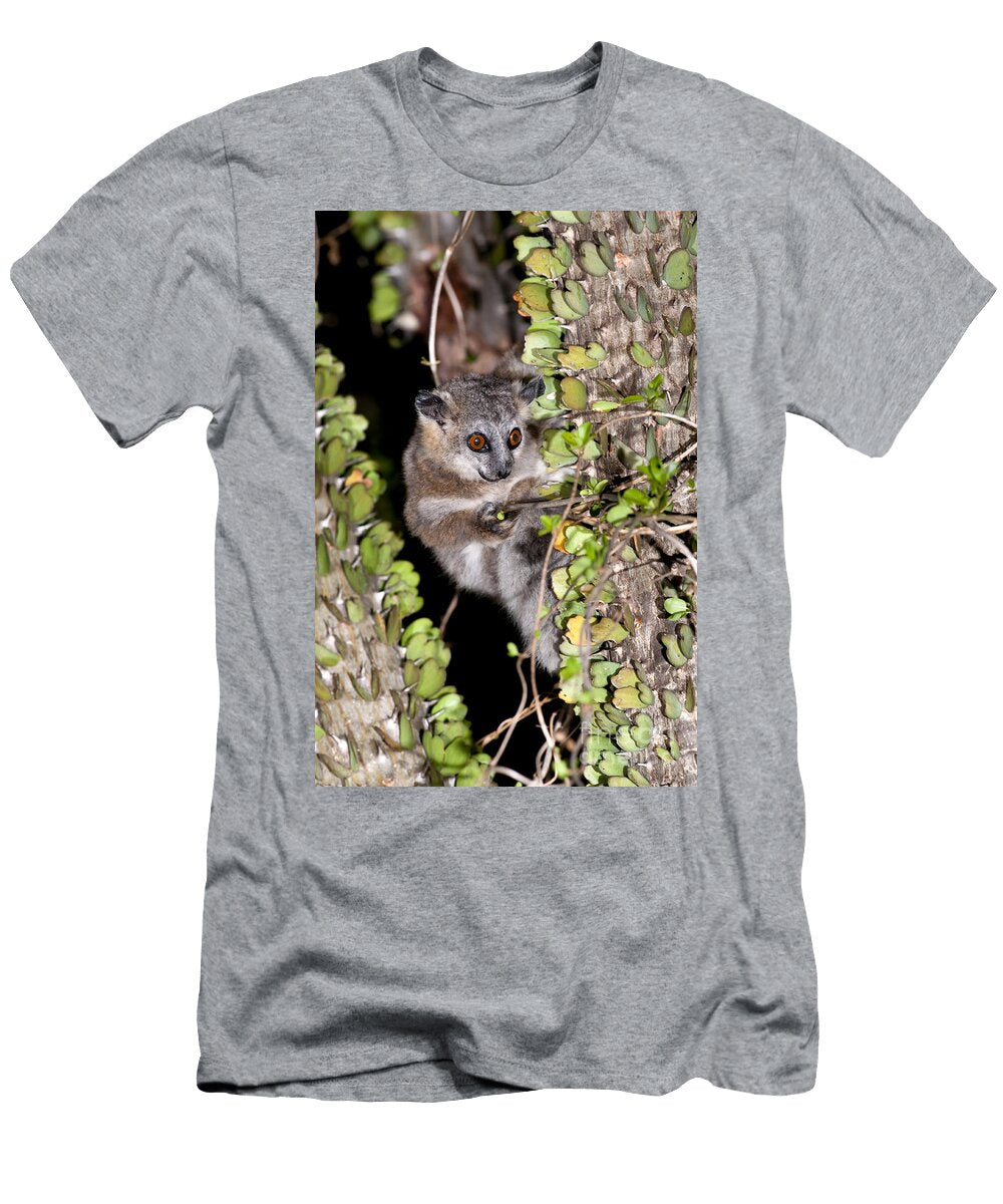 White Footed Sportive Lemur Tony Camacho T-Shirt
