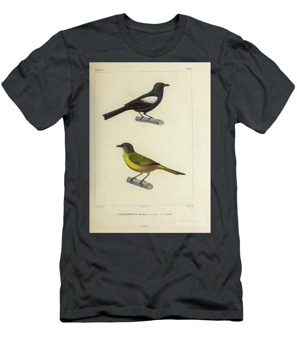 White Shouldered Tanager U1 Historic Illustrations T-Shirt