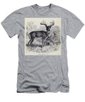 White Tailed Deer Odocoileus Virginianus M4 Historic Illustrations T-Shirt