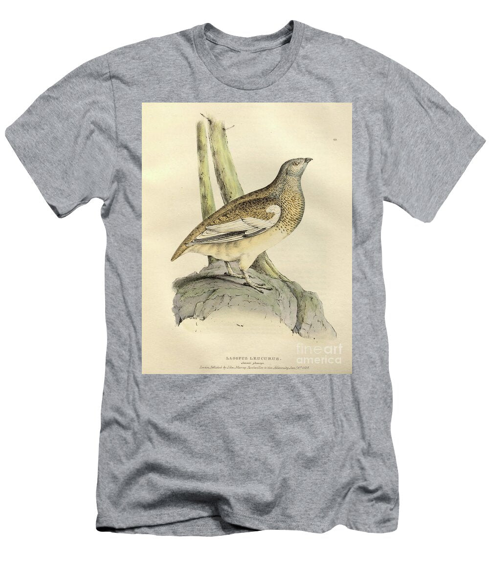 White Tailed Ptarmigan Lagopus Leucura O1 Historic Illustrations T-Shirt