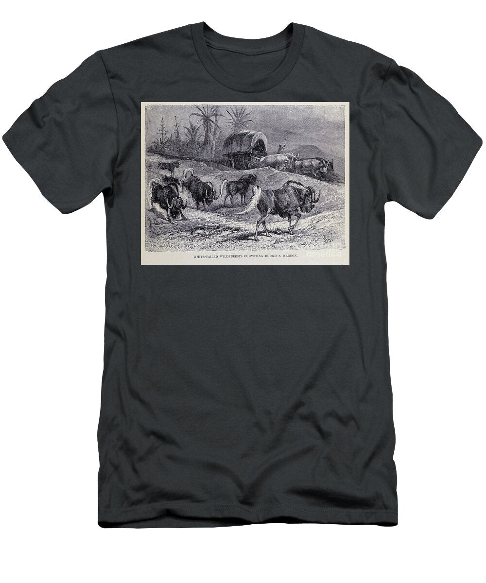 White Tailed Wildebeest M3 Historic Illustrations T-Shirt
