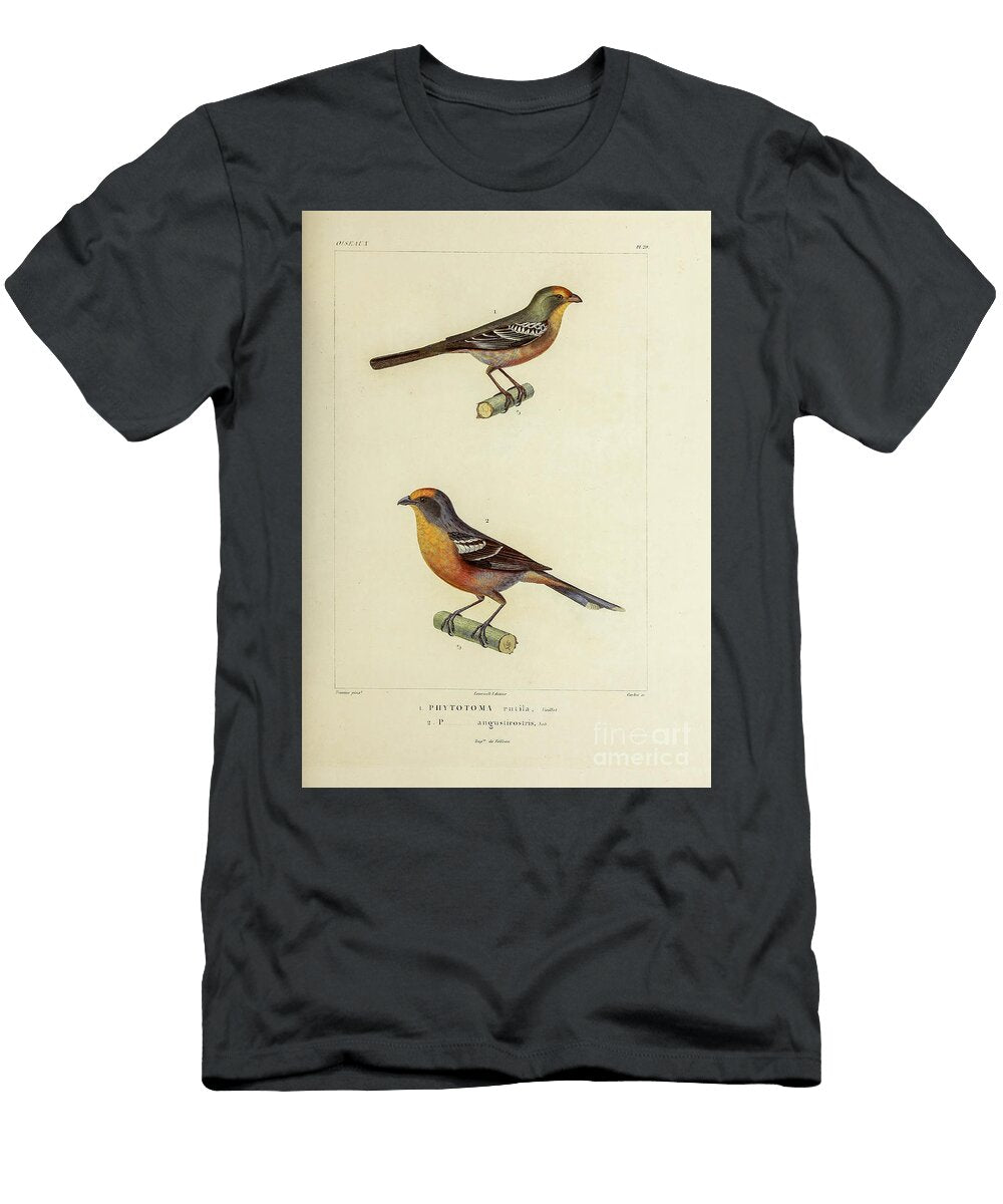 White Tipped Plantcutter 1835 U1 Historic Illustrations T-Shirt