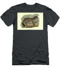 Wild Cat Felis Catus N3 Historic Illustrations T-Shirt