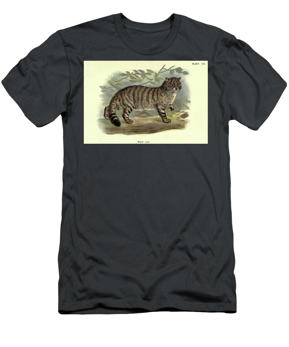 Wild Cat Felis Catus N3 Historic Illustrations T-Shirt