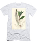 Willow Leaved Veronica Willow Leaved Speedwell Veronica Salicifolia European School T-Shirt