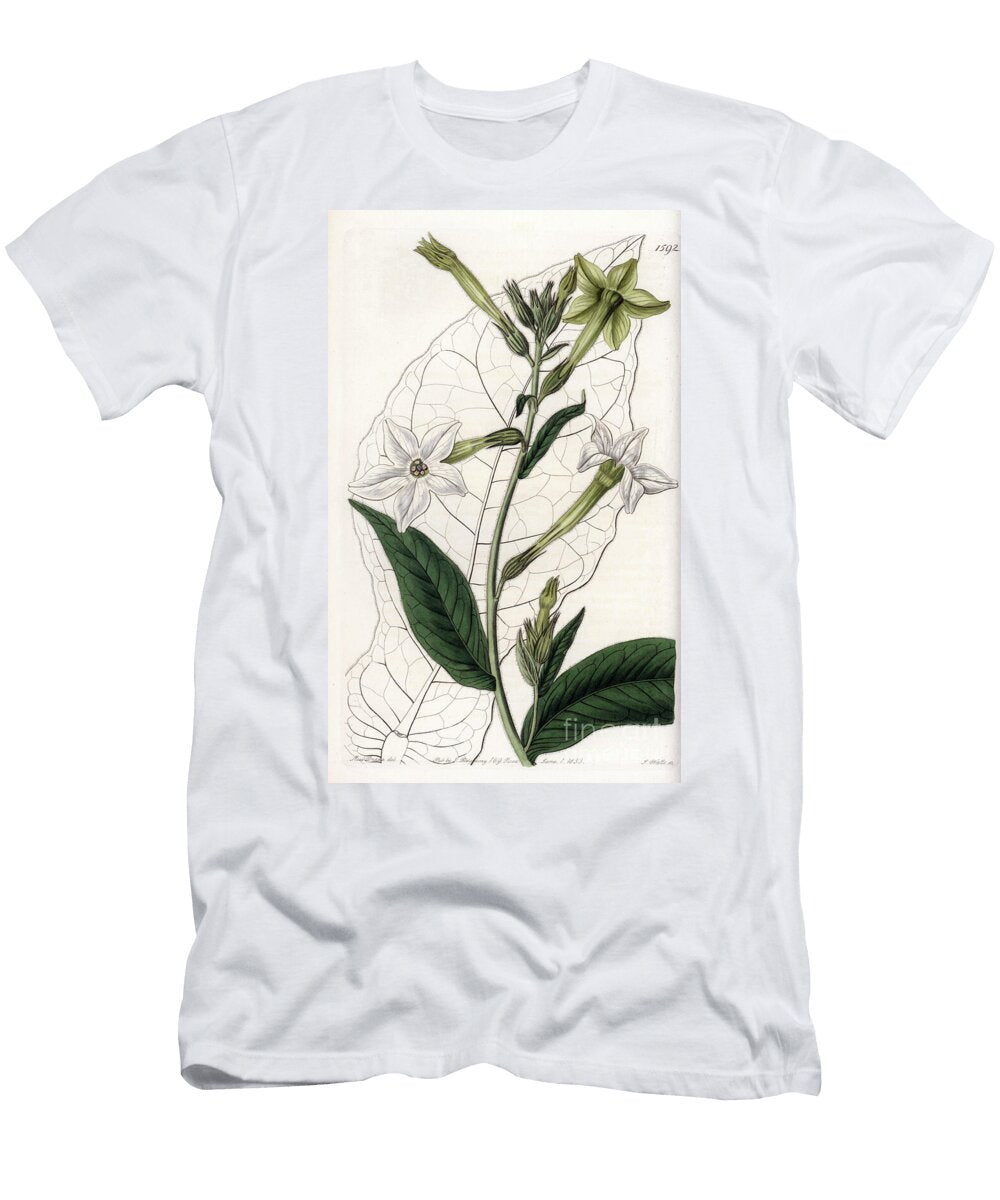 Wing Tobacco or Ornamental Tobacco Sydenham Teast Edwards T-Shirt