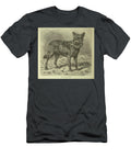 Wolf L3 Historic Illustrations T-Shirt