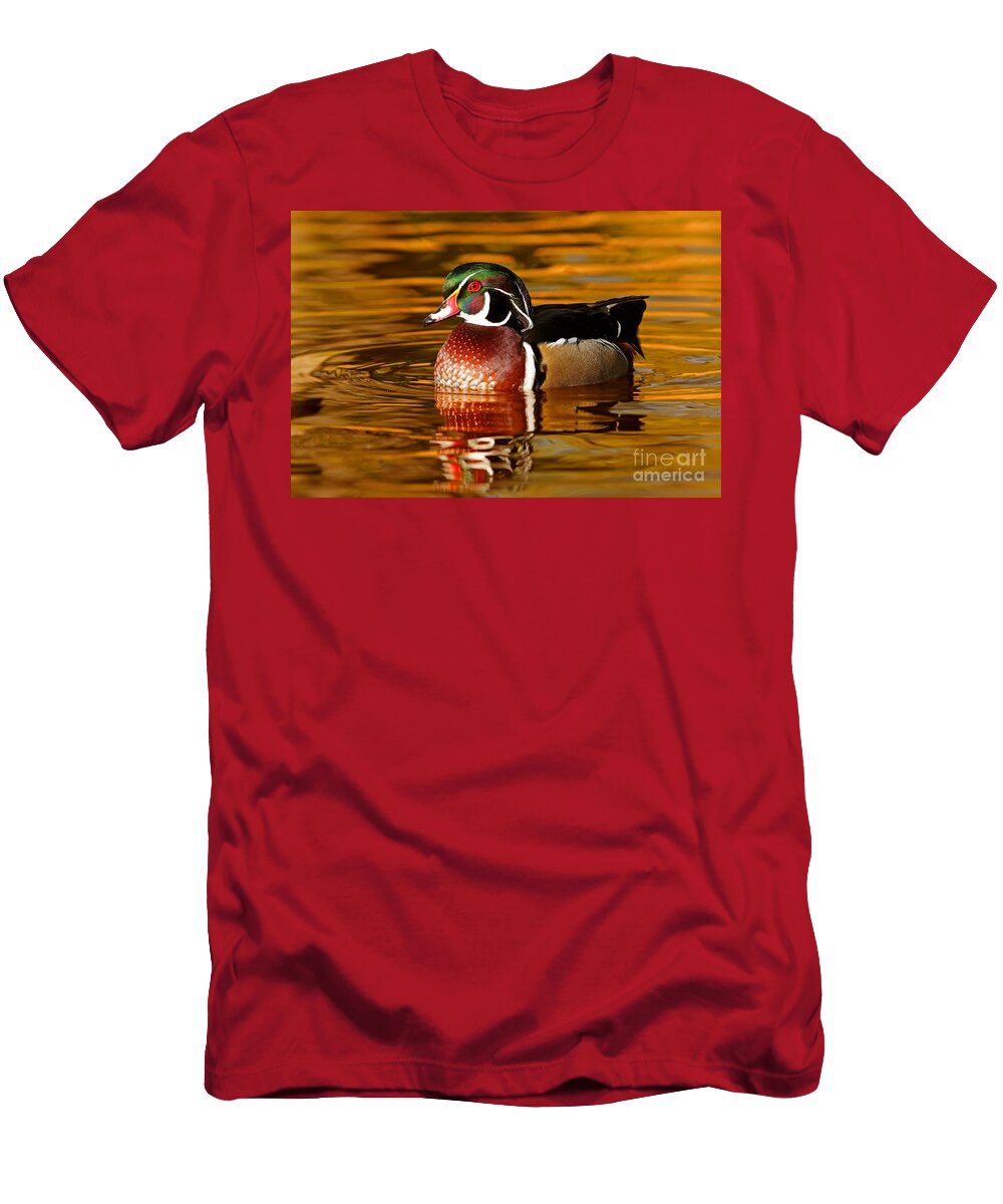 Wood Drake on the Golden Light Mircea Costina Photography T-Shirt