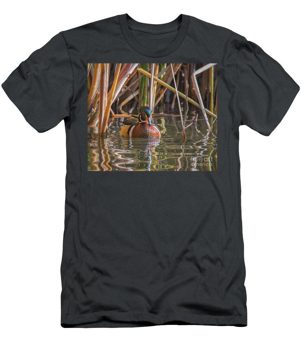 Wood Duck Drake Portrait Mitch Shindelbower T-Shirt